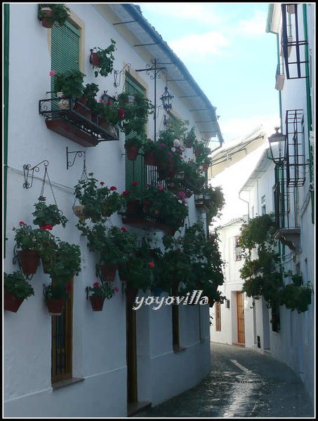 西班牙 安塔盧西亞 Priego de Cordoba, Andalusien, Spain