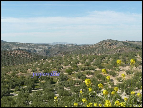 西班牙 安塔盧西亞 Priego de Cordoba, Andalusien, Spain