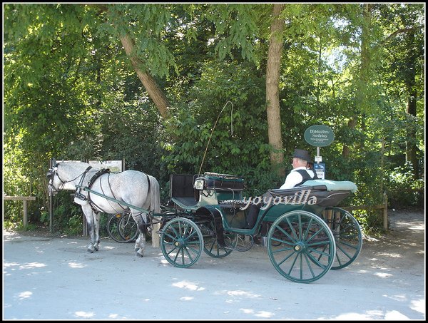 Englischer Garten, München, Germany 德國 慕尼黑 英國花園