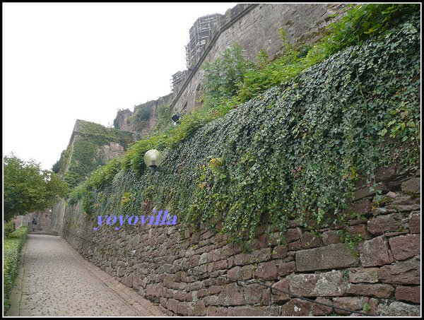 德國 海德堡 海德堡城堡 Heidelberger Schloss, Heidelberg, Germany
