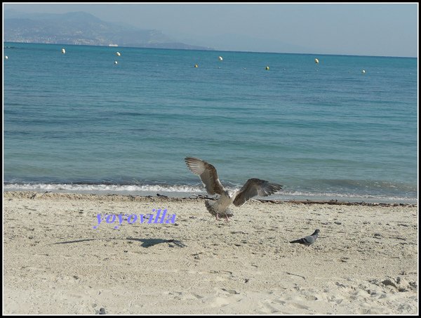 法國 蔚藍海岸 尼斯海邊 Nice, Côte d&apos;Azur, France
