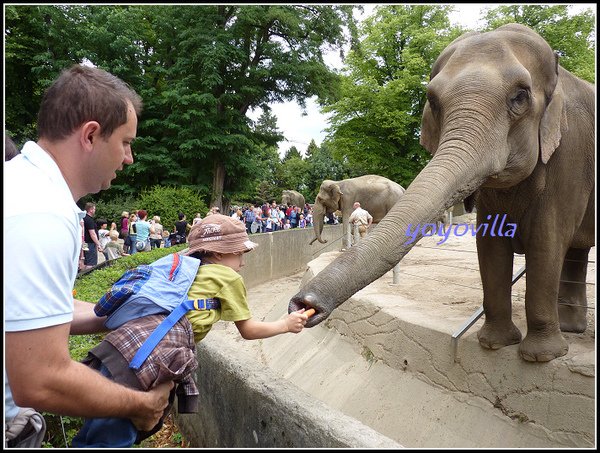 德國 漢堡 哈根貝克動物園 Tierpark Hagenbeck, Hamburg, Deutchland