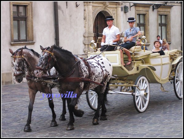 波蘭 克拉科夫 旅遊景點 Krakow, Poland