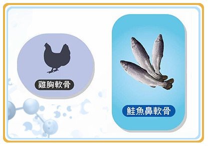 鮭魚鼻軟骨 %26; 雞軟骨_1.jpg