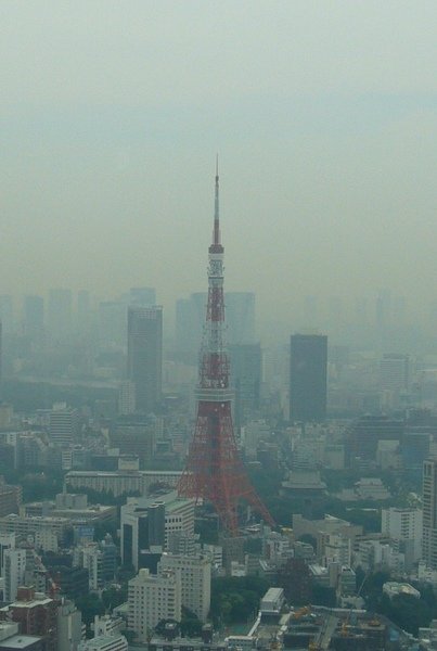 P1100755.jpg