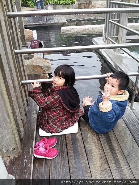 20150112_114710.jpg