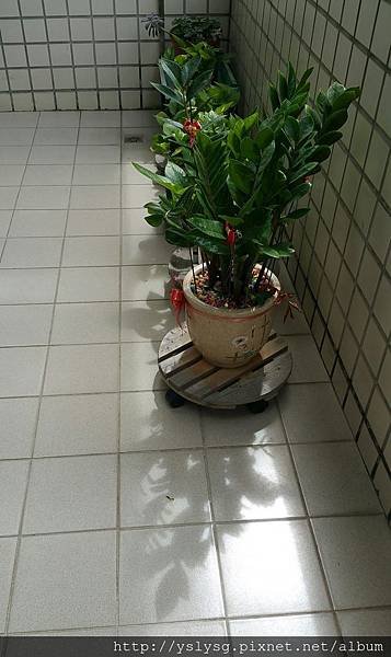 20190809_094506-1.jpg
