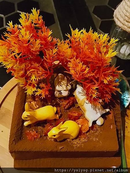2019-11-15-13-45-21.jpg