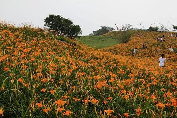 六十石山(100.9.4)_18