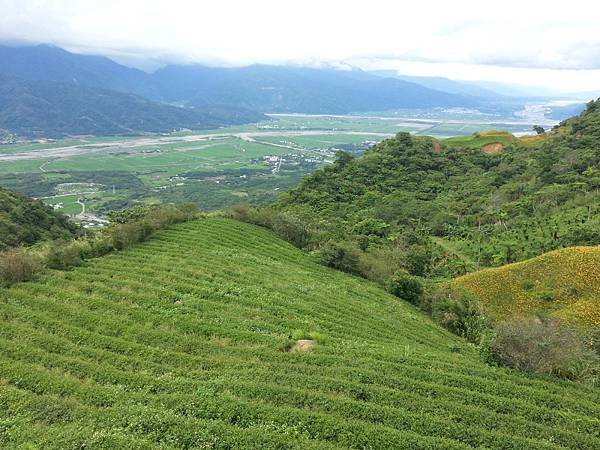 與柏恩倫山線遊(101.9.7)_09