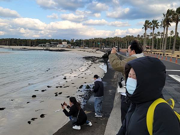 韓國濟州島×釜山D1(113.01.26～30)