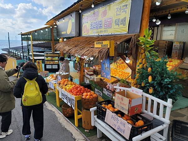 韓國濟州島×釜山D1(113.01.26～30)