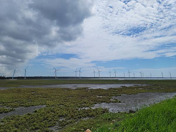 台中清水-高美濕地(113.06.14)