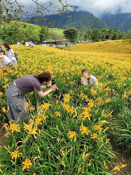 花蓮富里-六十石山(113.09.07)