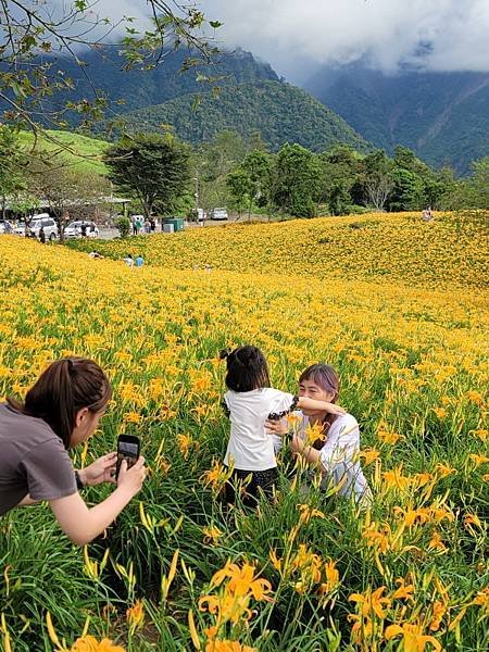 花蓮富里-六十石山(113.09.07)