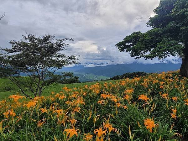 花蓮富里-六十石山(113.09.07)