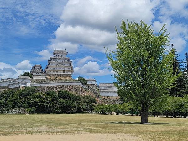 京阪神D1(113.07.26～31)