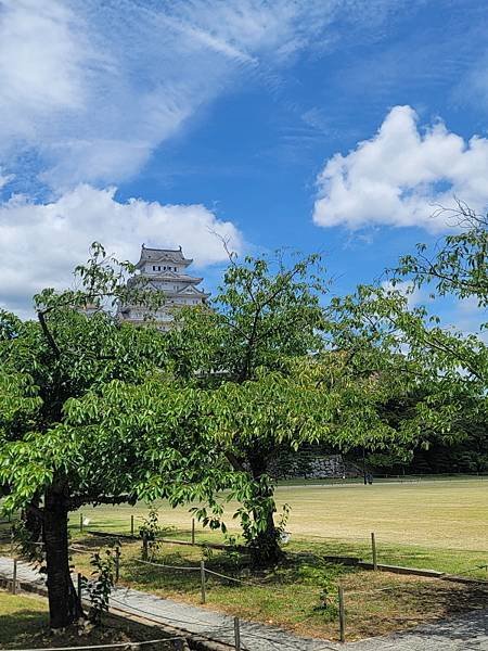 京阪神D1(113.07.26～31)