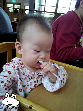 1030305花巷松林-14