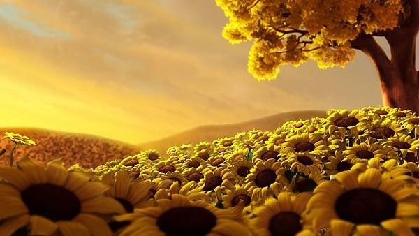 sun_flower_world_hd-HD