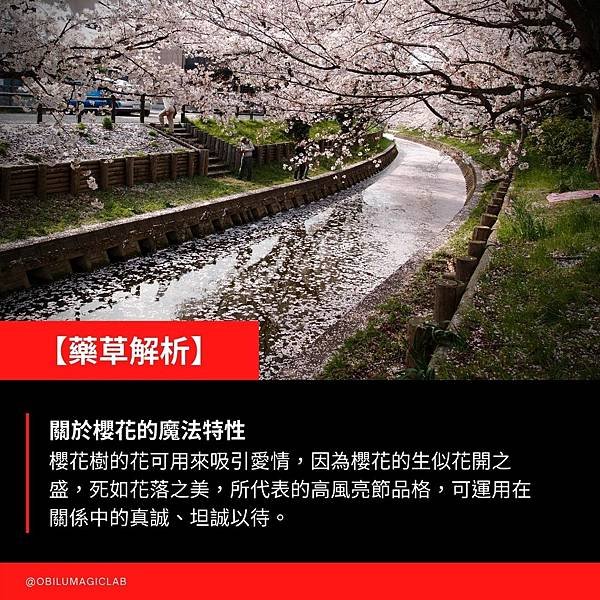 【魔法紀錄】 (11).jpg