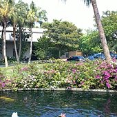 20110410975.JPG