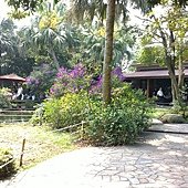 20110410908.JPG