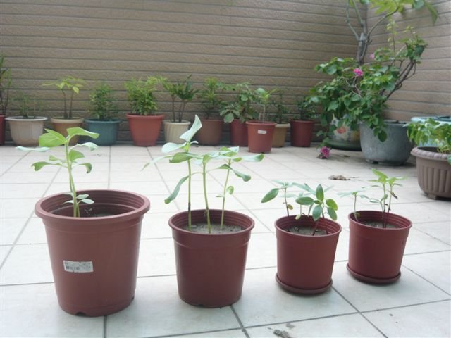 P1080585.JPG
