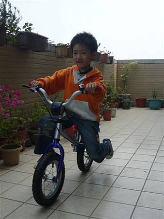P1160740.JPG