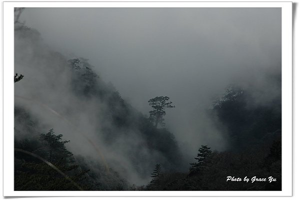 2011_花蓮a2011合歡山雲海056.jpg