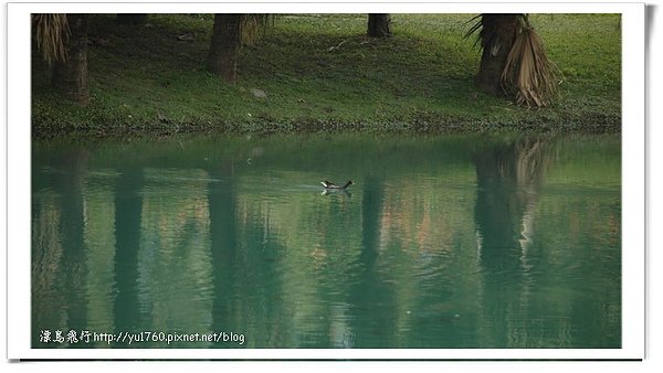 2011_day2花蓮雲山水042_2011.jpg