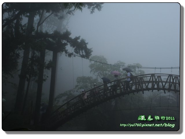 P溪頭_25.jpg