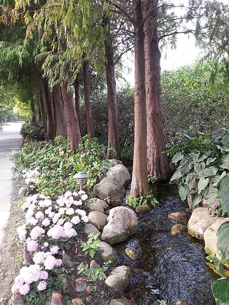 20131112_145710.jpg