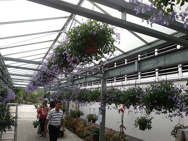 20131112_135154.jpg