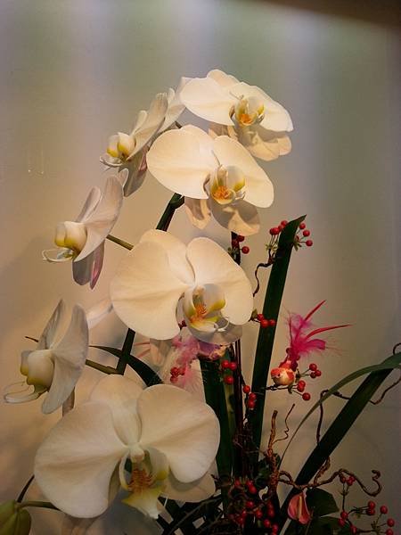 20131112_135637.jpg