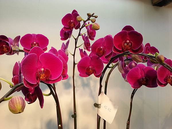 20131112_135654.jpg