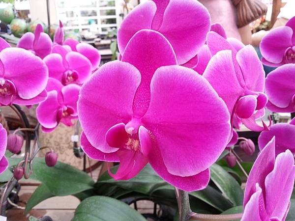 20131112_135819.jpg