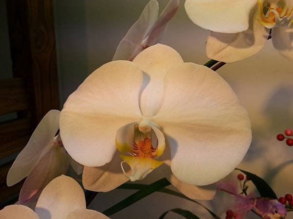 20131112_135946.jpg