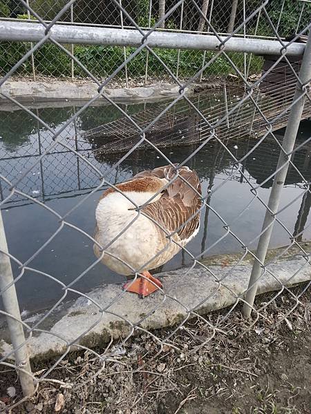 20131112_140554.jpg