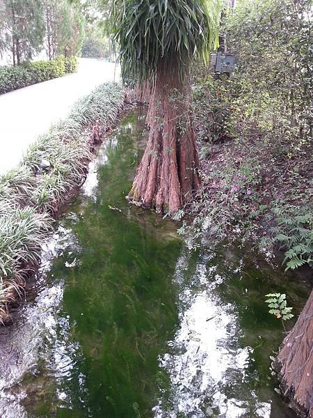 20131112_144624.jpg