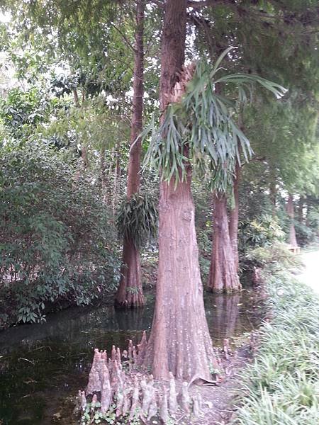 20131112_144640.jpg