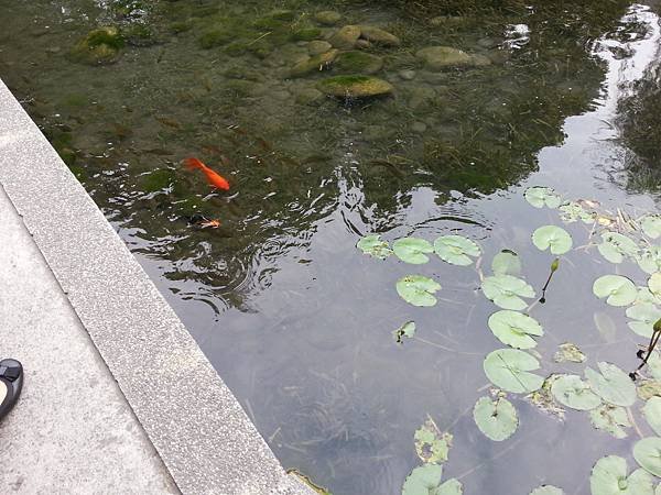 20131112_144841.jpg