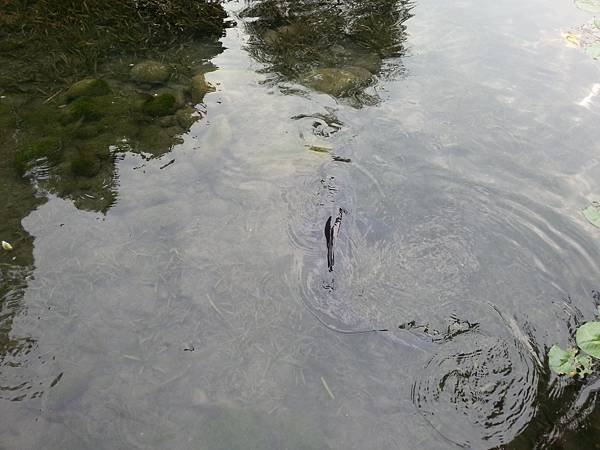 20131112_145127.jpg