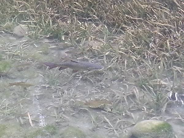 20131112_145149.jpg