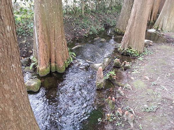 20131112_145512.jpg