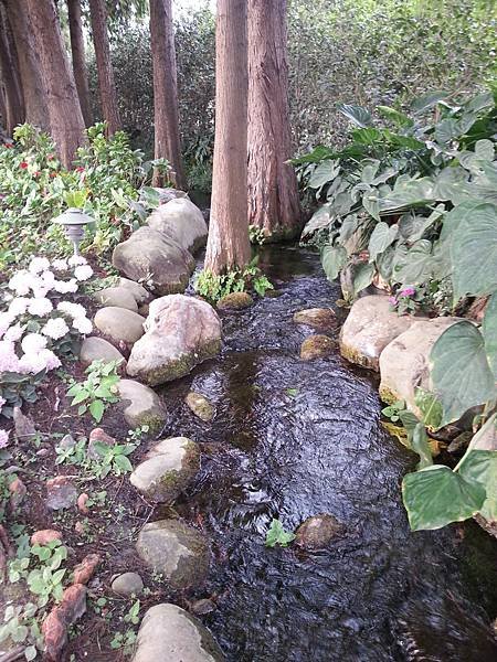 20131112_145613.jpg