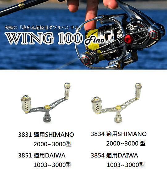 wing100-2