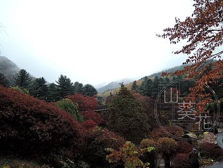 DSCN0597.jpg