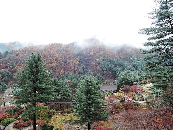DSCN0629.jpg