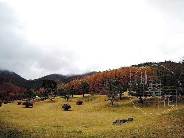 DSCN0672.jpg